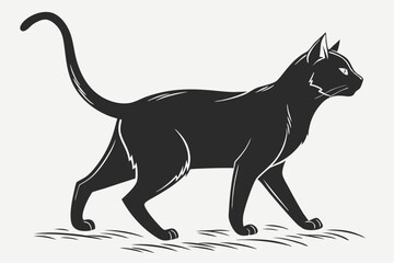 Silent Paws: Black Cat Outline