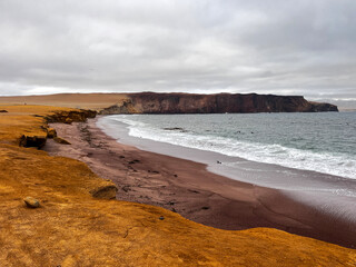 Unique landscape view of National Park Reserve Paracas in Pisco Province, Peru. Spectacular desert coastline is popular tourist destination with diverse wildlife, history of ancient civilisation.