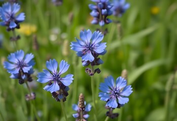Fototapeta premium Close-up of vibrant blue and purple flowers blooming in a lush garden, showcasing nature's spring beauty