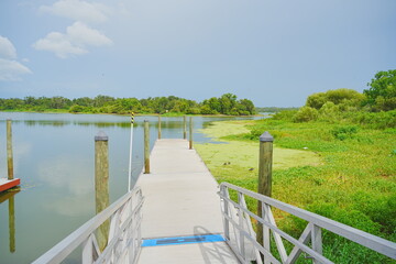 Plant city, Florida, USA: 06 22 2025: The landscape of Edward Medard Conservation Park in Plant City close to Tampa