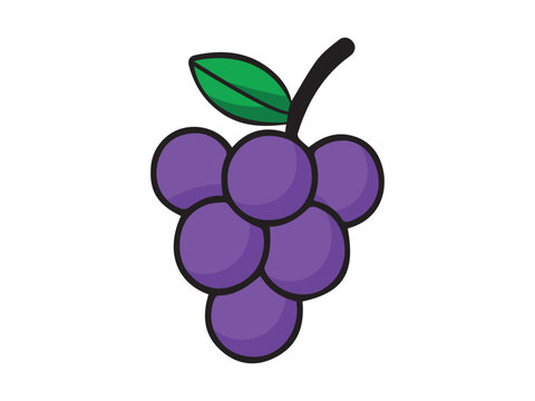 Grape Fruit singgle vector