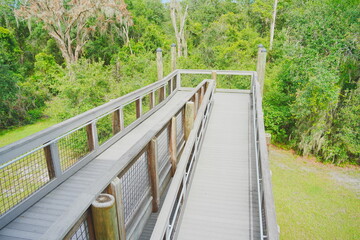 Plant city, Florida, USA: 06 22 2025: The landscape of Edward Medard Conservation Park in Plant City close to Tampa