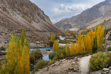 A breathtaking view of a serene mountain valley in autumn, featuring a crystal-clear river winding...