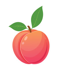 Delicious Peach Fruit Closeup - Vector Illustration