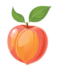 Fresh Ripe Peach Fruit - Vector Illustration