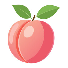 Sweet Pink Peach Fruit - Vector Illustration
