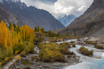 Vibrant Autumn Trees Along a Serene River with Majestic Snow-Capped Mountains