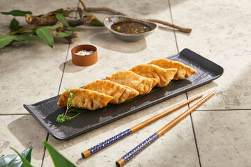 Tempura gyoza golden crisp, bright natural, overhead ceramic plate arrangement