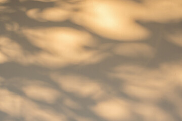Abstract natural tree branch leaves shadow on beige wall background