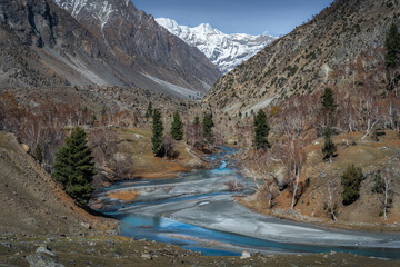 Mountain Stream Winding Through Bare Trees and Snowy Peaks