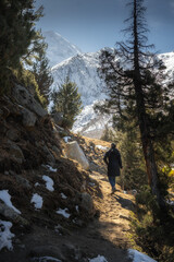 Hiker Walking Along a Rocky Mountain Trail Surrounded by Snow and Pine Trees on a Clear Winter Day