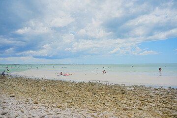 Honeymoon island, Florida, USA: 06 22 2025: The landscape of Honeymoon island State Park close to Tampa in Florida