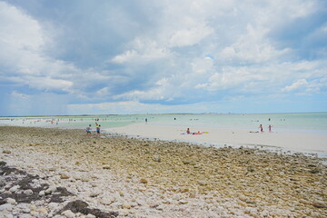 Honeymoon island, Florida, USA: 06 22 2025: The landscape of Honeymoon island State Park close to Tampa in Florida
