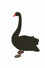 Elegant Black Swan Silhouette on White