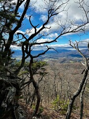 Winter Valley View