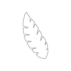 Flat Leave Icon Design