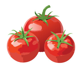 Group of Three Fresh Red Tomatoes - Vector Illustration