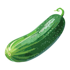 Single Fresh Green Cucumber Vegetable - Vector Illustration
