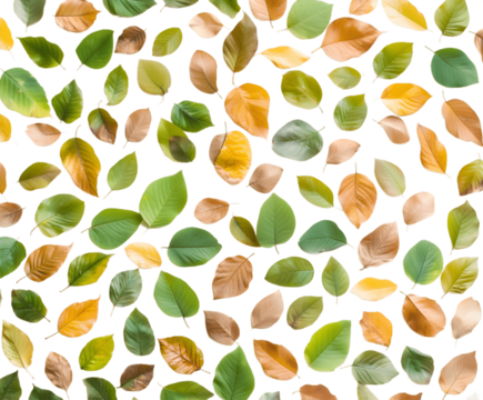 autumn leaves seamless pattern
