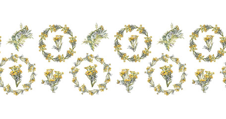 Seamless border watercolor bush tansy on white background. Yellow green summer autumn flower plant for health. Medicinal herbs for aromatherapy. Botanical art for tea spa sticker wallpaper wrapping