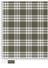 Olive Green and White Plaid Fabric Pattern