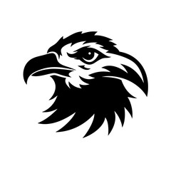 Illustration of a black and white eagle head profile