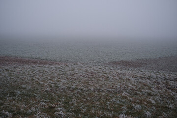 A field covered in snow with a foggy sky in the background