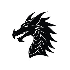 black horse head on white background