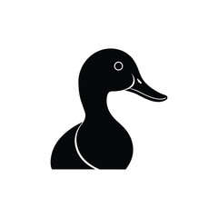 duck on white background