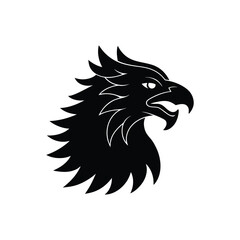 head of a eagle on White Background