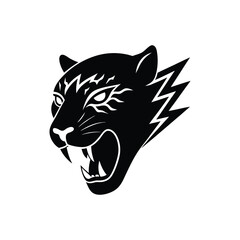 head of tiger on White Background