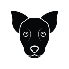 portrait of a dog on White Background