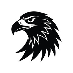 eagle head isolated on White Background
