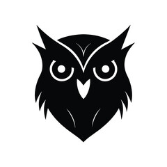 owl on white background