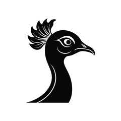 vector illustration of a peacock on a white background
