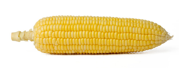 The High-resolution photo of a corn cob with a 45MP camera.