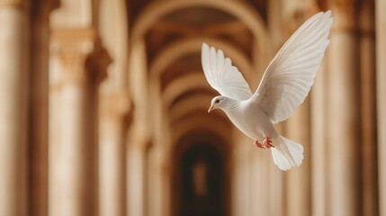 A white dove in flight with blurred architectural arches in the background.