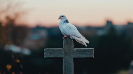 A white dove perched on a wooden cross at sunset, symbolizing peace and spirituality.