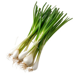 Spring onions on a transparent background-Photoroom.