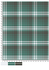Detailed Plaid Fabric Swatch in Teal White and Brown with Ruler Markings for Measurement and Color Palette at the Bottom