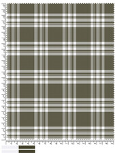 Detailed Plaid Fabric Swatch in Olive Green and White with Measurement Markings for Design and Textile Applications Showcasing Weave Structure