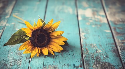Dried Sunflower Rustic Vintage Beauty