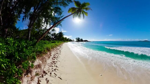 Tall palm tree leaning toward the turquoise ocean on a tropical beach with white sand, lush greenery, and bright sunlight. Constance Lemuria Beach. Seychelles, Praslin.