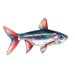 watercolor of Neon Tetra, vector, isolated on a white background.