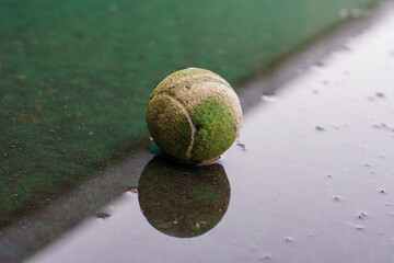 A worn, green tennis ball sits on a wet surface with a clear reflection, emphasizing its texture...