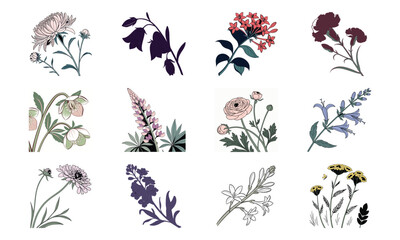 Beautiful Hand Drawn Botanical Flower Illustrations Collection In Vintage Pastel Style – Elegant Bloom Designs Perfect For Nature Art, Stationery, And Digital Prints (1)