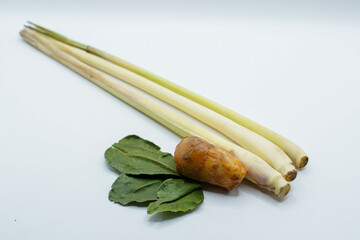 Fresh lemongrass stalks, a piece of galangal root, and dried kaffir lime leaves are neatly arranged on a white background.