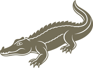 crocodile isolated on white background