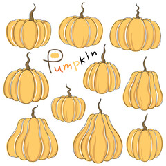 Pumpkin vector collection for design and decoration, can be used for various purposes such as Halloween decoration, stickers, digital print, Halloween party, paper pattern, postcard and more