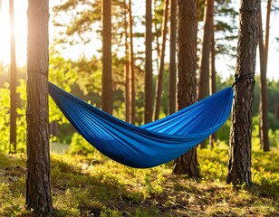 Blue hammock in a forest at sunset